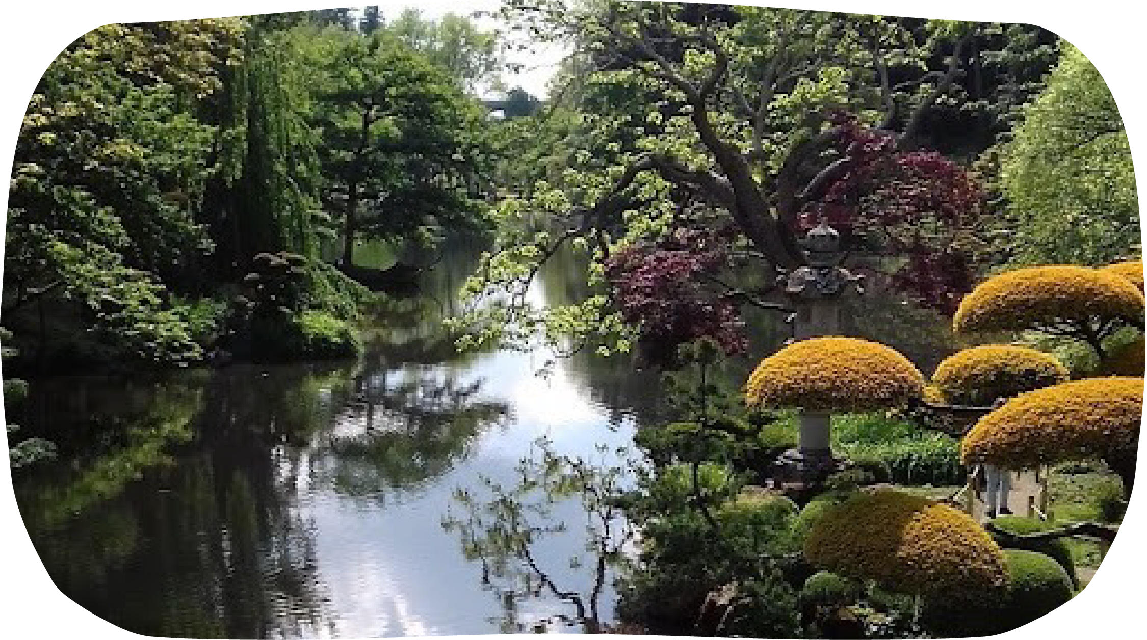 parc maulévrier japon france paysage verdoyant