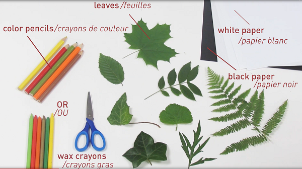 empreintes feuilles materiel activite montessori