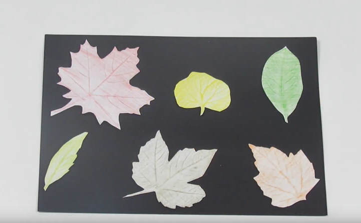 final feuilles activite montessori